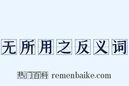无所用之反义词是什么意思的图片